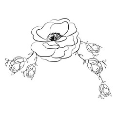 Summer garden blooming flowers monochrome illustration, sketch, hand drawn