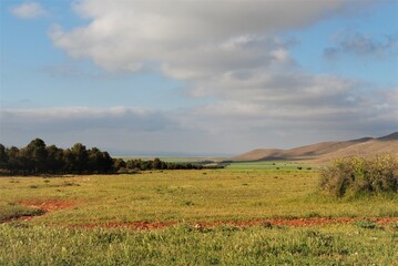 Paysages divers Alg&eacute;riens, hautes plaines, montagnes