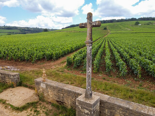Fototapeta na wymiar Aerian view on walled green grand cru and premier cru vineyards with rows of pinot noir grapes plants in Cote de nuits, making of famous red Burgundy wine in Burgundy region of eastern France.