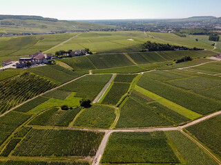 Aerial view on green vineyards in Champagne region near Epernay, France, white chardonnay wine...