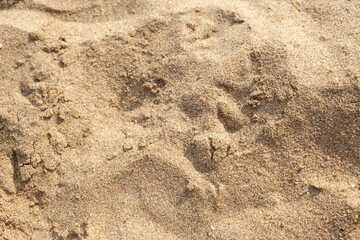 Beach sand, Before building castles with beach sand