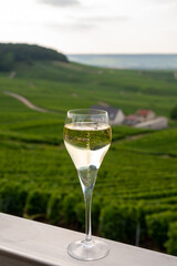 Tasting of brut and demi-sec white champagne sparkling wine from special flute glasses with Champagne vineyards on background near Cramant, France