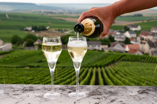 Tasting of brut and demi-sec white champagne sparkling wine from special flute glasses with Champagne vineyards on background near Cramant, France