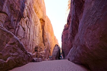Arches National Park, Utah, USA. the landscape of contrasting colors and textures. natural stone arches and hundreds of soaring pinnacles