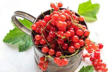 Fresh ripe red currant berries in a metal mug