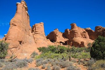 Arches National Park, Utah, USA. the landscape of contrasting colors and textures. natural stone arches and hundreds of soaring pinnacles