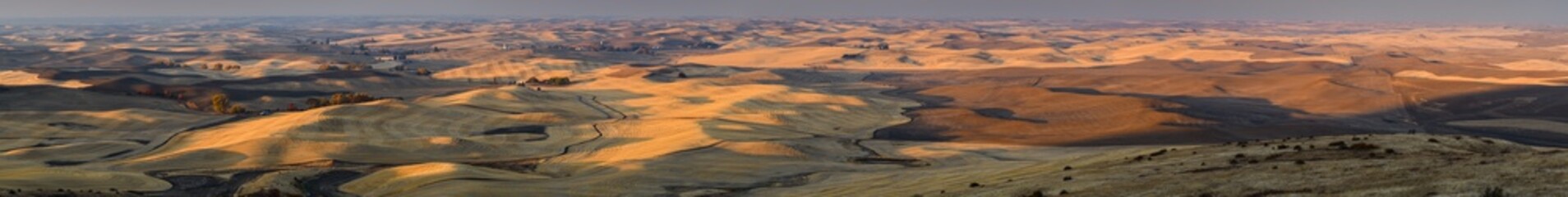 Palouse panorama