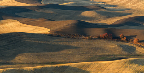 Palouse