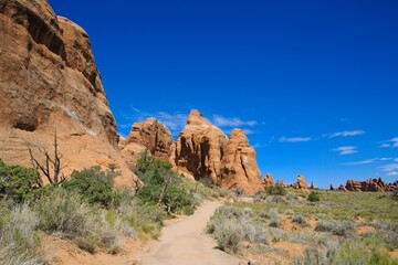 Fototapeta premium Arches National Park, Utah, USA. the landscape of contrasting colors and textures. natural stone arches and hundreds of soaring pinnacles