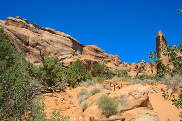 Fototapeta premium Arches National Park, Utah, USA. the landscape of contrasting colors and textures. natural stone arches and hundreds of soaring pinnacles