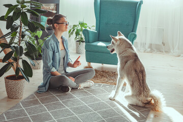 Young woman raising and playing with her domestic dog Siberian husky at home © perfectlab