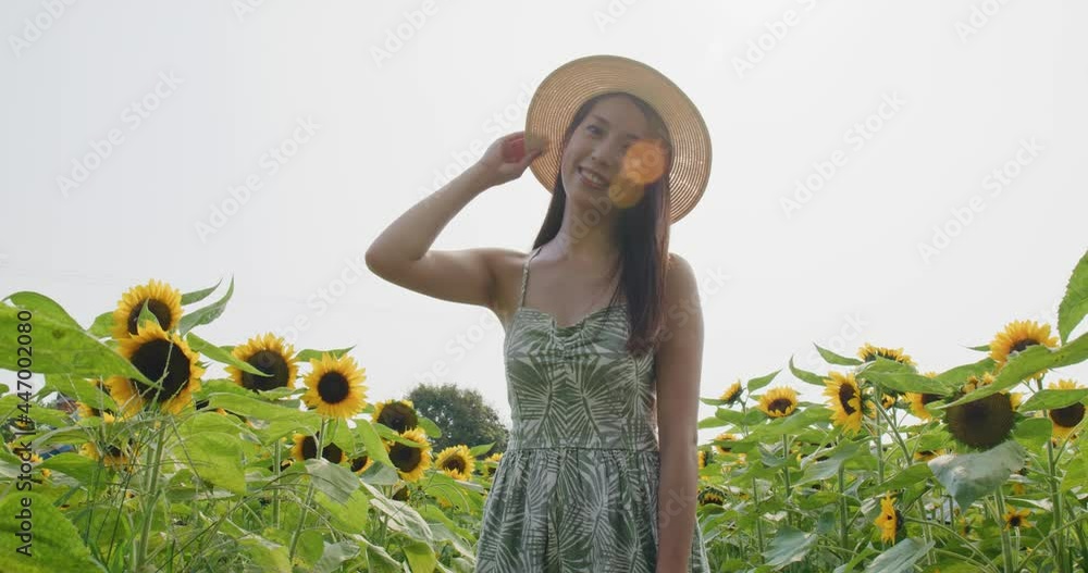 Sticker Woman visit sunflower farm at summer time