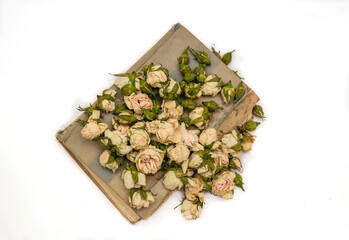 Dry roses and vintage book, pastel background