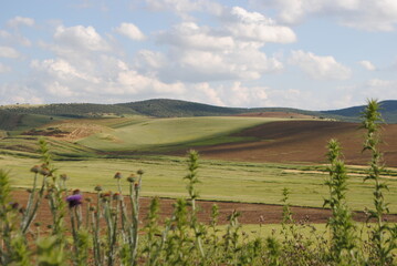 Paysages divers Algériens, hautes plaines, montagnes