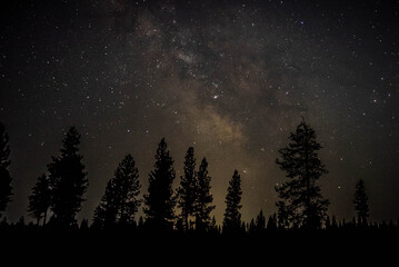 Fototapeta premium Stars at night