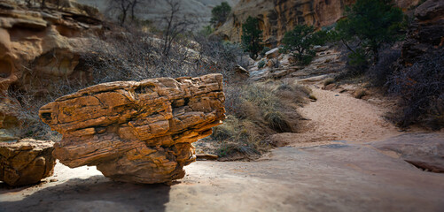 Perched Rock