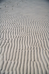 Sand dunes on a beautiful beach.