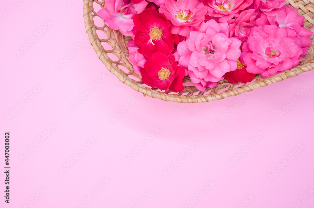 Sticker top view of fresh red and pink peony flowers on a flat wicker basket