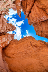 Amazing rock formations in Bryce Canyon National Park, skyward view. Utah in summer season