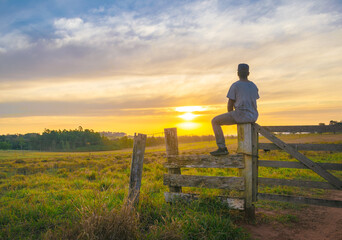 Man on top of the gate watching the sunset, watching the sunset, Beautiful Sunset