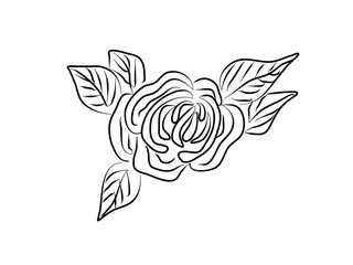 Flower, rose, plant. Coloring book. Zentangle style, doodle.  Colouring page for kids or adult. Vector illustration modern