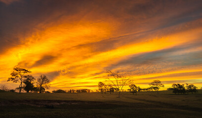 Naklejka premium Spectacular sunset with yellow colors, yellow sky, incredible sunset