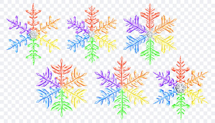 Set of big complex translucent Christmas snowflakes in lgbt colors, isolated on transparent background. Transparency only in vector format