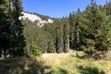 The Grassy (Trevistoto) Smolyan lake at Rhodope Mountains, Bulgaria