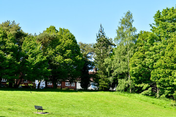 Naklejka premium Lonely bench in the lawn in the park, Kenilworth, England, UK
