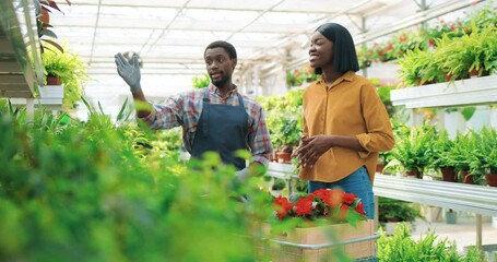 Happy handsome young worker male florist showing flower pot to African American beautiful female customer speaking about plant selling flowers in floral shop Greenhouse, buying plant, shopping concept