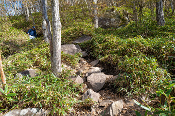 紅葉の季節の群馬県の赤城山の登山道の風景 A view of the trail at Mount Akagi in Gunma Prefecture during the season of autumn leaves.