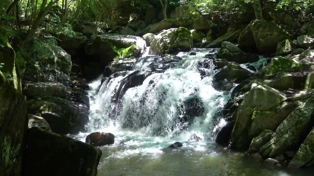 山鶏滝・やまどりたき（福島県・平田村）