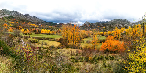 Vista panorámica de bello paisaje otoñal con prados, arboledas y montañas