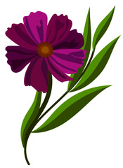 vector purple flower with green leaves