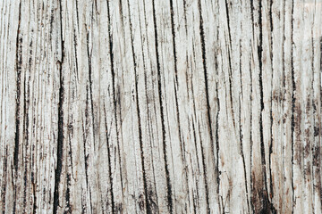 Old Weathered white wooden textured background

