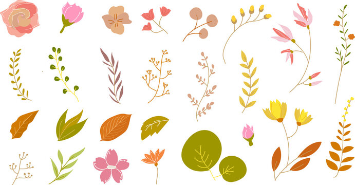 big set of floral elements for autumn theme