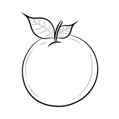 Doodle orange fruit vector illustration, with hand drawn sketching style