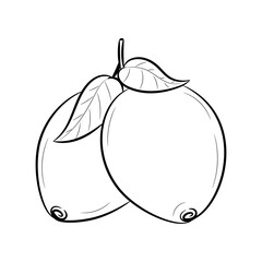 Doodle lemon fruit vector illustration, with hand drawn sketching style