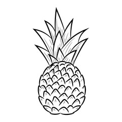 Doodle pineapple vector illustration, with hand drawn sketching design
