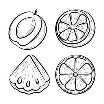 Slice of fruits vector illustration, with hand drawn sketching style © Astira