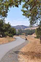 Hiking paved trail in nature