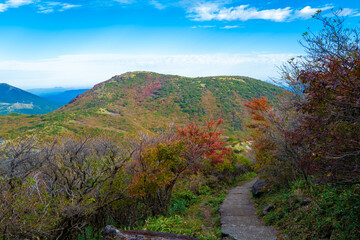 Obraz premium 大分県の紅葉のくじゅう連山の風景 Mt.Kujyu range scenery of autumn leaves in Oita Prefecture 