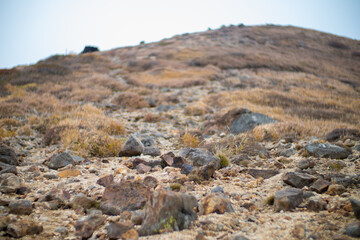 大分県の紅葉のくじゅう連山の風景  Mt.Kujyu range scenery of autumn leaves in Oita Prefecture 