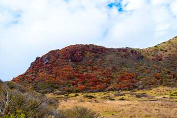 大分県の紅葉のくじゅう連山の風景  Mt.Kujyu range scenery of autumn leaves in Oita Prefecture 