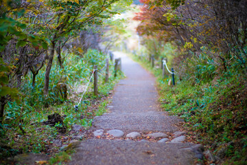 大分県の紅葉のくじゅう連山の風景  Mt.Kujyu range scenery of autumn leaves in Oita Prefecture 