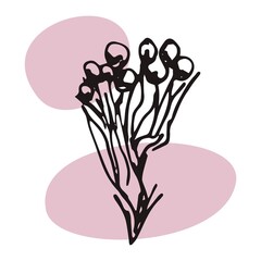 The plant is drawn by hand with a pen and translated into vector format. In the background there is an abstract colored spot. Stock vector illustration. For garment decoration, packaging, interior