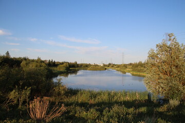 Fototapeta premium Summer Evening On The Lake, Pylypow Wetlands, Edmonton, Alberta