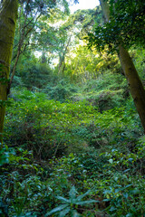 大分県別府市の地獄めぐりの風景 Scenery of Jigoku Meguri (Hell Tour) in Beppu City, Oita Prefecture, Japan