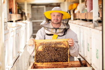 The beekeeper extracts honey from bee hives, holds the honeycomb in his hands, assessing the state of the honey. Beekeeping, wholesome food for health.