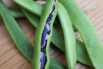 purple green peas in a pod